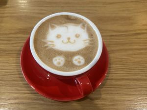 oat milk cappuccino   at Roots Plant-Based Cafe in Da Nang