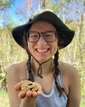 Vegan cookie I bought from there   at Inori in Toyoura