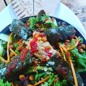 A delicious Dolmas Salad Bowl, a new edition to the aroma menu at Aroma Cafe in Bridport