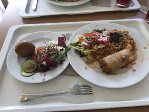 Had some delicious rice dish, with some sort of loempia and a falafel ball. It was good value for money   at Biomarkt Bocholt in Bocholt