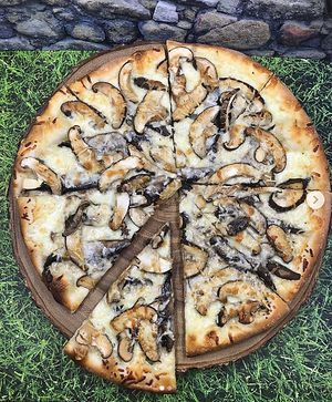 Mushroom Pizza at Pizza Boy in Glendale
