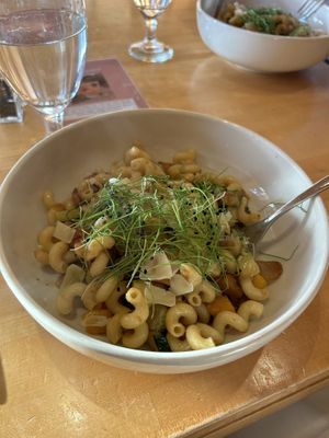 Roasted Butternut Squash Cavatappi  at Cafe Manna in Brookfield