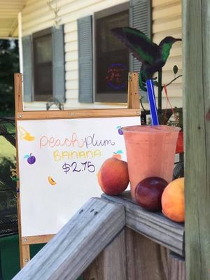 Daily smoothie and herbal tea specials  at Hummingbird Hover in Forrest City