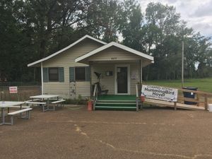 Hummingbird Hover at Hummingbird Hover in Forrest City