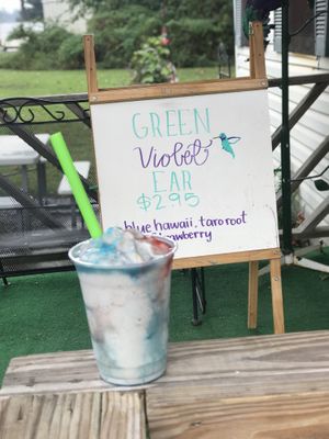 Violet ear  at Hummingbird Hover in Forrest City