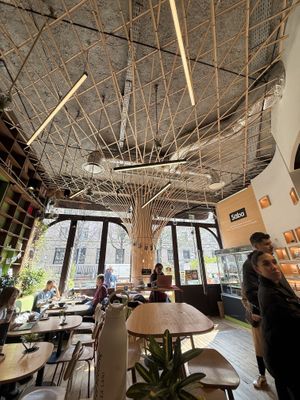   at Newtree Café in Lyon