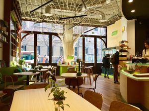 bamboo canopy at Newtree Café in Lyon