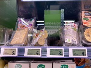 Tempeh at Kiss The Ground in Lausanne