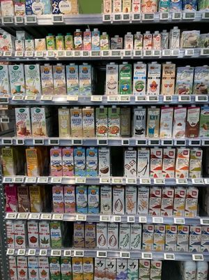 Plant-based milk at Kiss The Ground in Lausanne