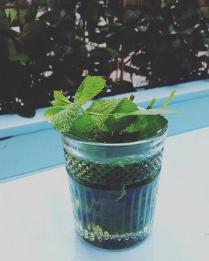 Fresh mint tea at Cafe Blå in Copenhagen