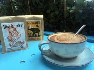 Cappuccino JUST COFFEE at Cafe Blå in Copenhagen