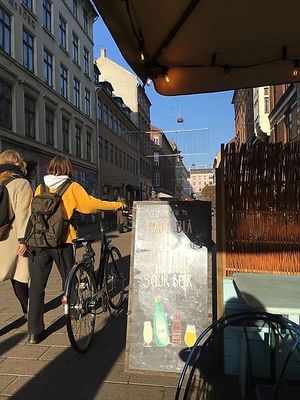 Blågårdsgade street at Cafe Blå in Copenhagen