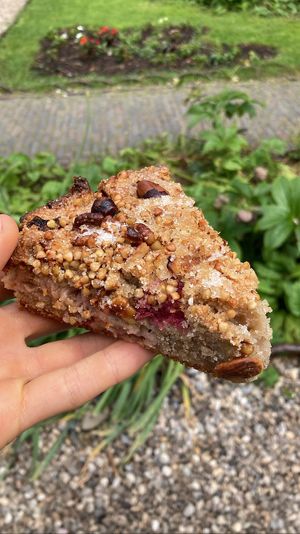 Rhubarb nut cake. Tasty & fluffy but could use some more rhubarb  at Rabarber in Utrecht