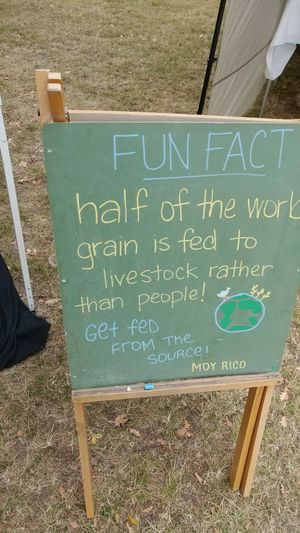 Moy Rico at Moy Rico in Victoria