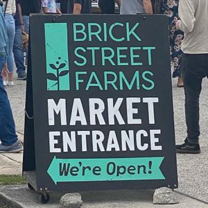 Here at Golden Dinosaurs in Gulfport