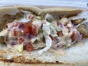   at Golden Dinosaurs in Gulfport