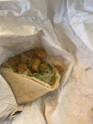 Wrap  at Golden Dinosaurs in Gulfport