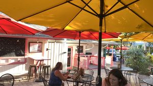   at Golden Dinosaurs in Gulfport