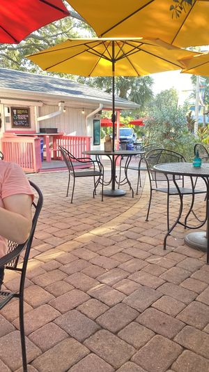   at Golden Dinosaurs in Gulfport