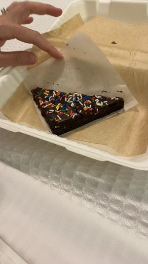   at Golden Dinosaurs in Gulfport