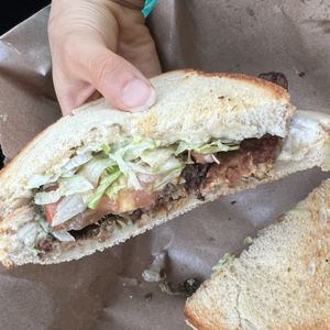   at Golden Dinosaurs in Gulfport