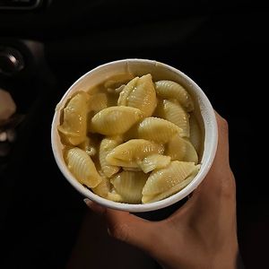 mac at Golden Dinosaurs in Gulfport