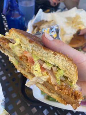   at Golden Dinosaurs in Gulfport