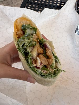 Chicken Caesar salad wrap    at Golden Dinosaurs in Gulfport
