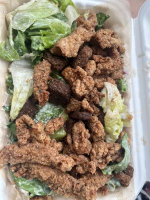 Chicky Caesar  at Golden Dinosaurs in Gulfport