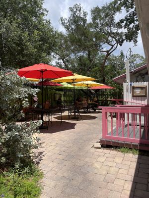   at Golden Dinosaurs in Gulfport