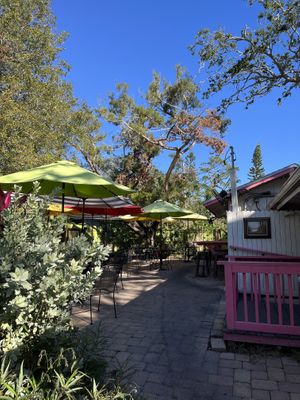 Outdoor seating  #Veganuary at Golden Dinosaurs in Gulfport