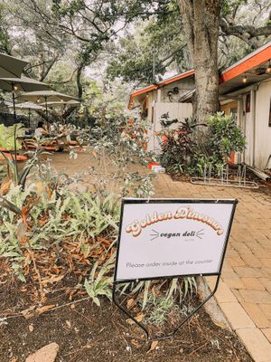 Outside at Golden Dinosaurs in Gulfport