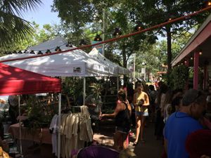 Plant sale at Golden Dino July 2019 at Golden Dinosaurs in Gulfport
