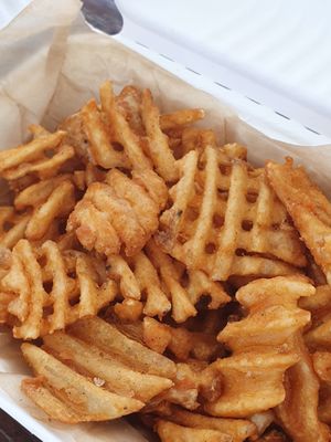 Fries  at Golden Dinosaurs in Gulfport