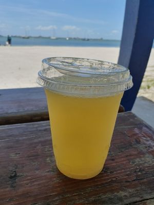 Giant Mimosa!  at Golden Dinosaurs in Gulfport