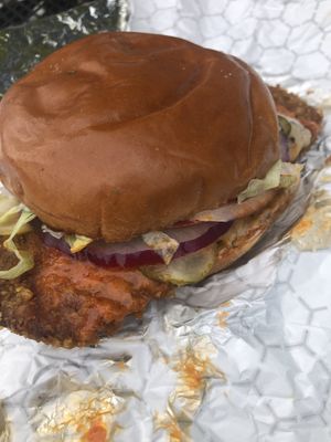 Cowboy Dan at Golden Dinosaurs in Gulfport