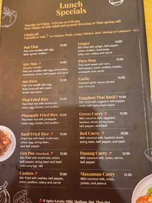 Vegan options have green leaf at Bangkok Bistro in Manalapan