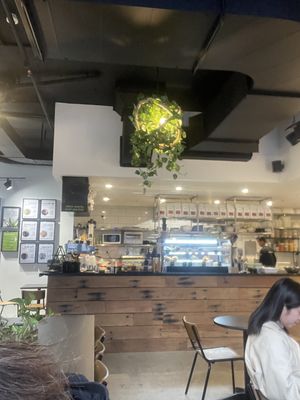   at O Superfood in Bondi Junction