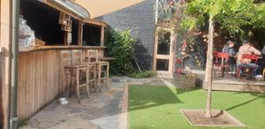 Dog friendly beer garden at The Bridge Hotel in Castlemaine