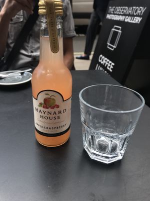 drink  at The Observatory Art Café in London