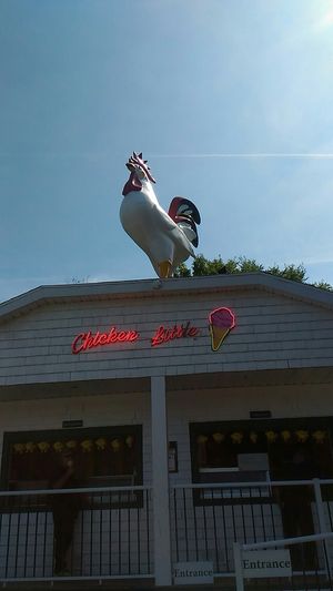 Rooster outside at Chicken Little Ice Cream in Bedford