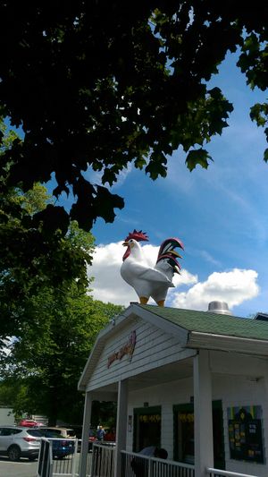 Rooster at Chicken Little Ice Cream in Bedford