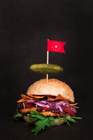 Tempting Tempeh Burger with Nachos for the crunch :) at Neue Republik Reger in Berlin