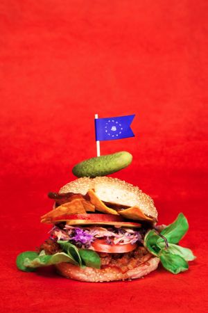 Pulled Seitan Burger with BBQ Chili Chippottle Sauce at Neue Republik Reger in Berlin