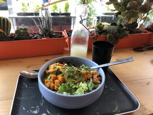 Plat du jour vegan at Boll N Roll in Tours