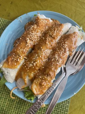 Fresh spring rolls   at May Kaidee in Bangkok