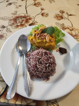 Pumpkin hummus and rice at May Kaidee in Bangkok