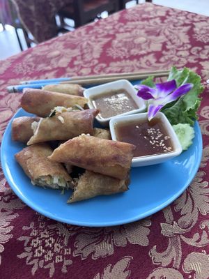   at May Kaidee in Bangkok