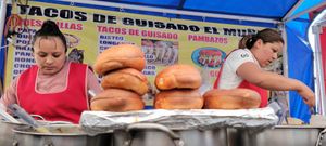 Try all the traditional "garnachas" like tlacoyos, sopes, quesadillas and more! at Travelling Herbivore in Mexico City