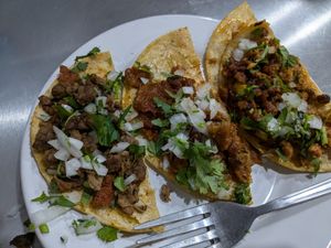  at Travelling Herbivore in Mexico City